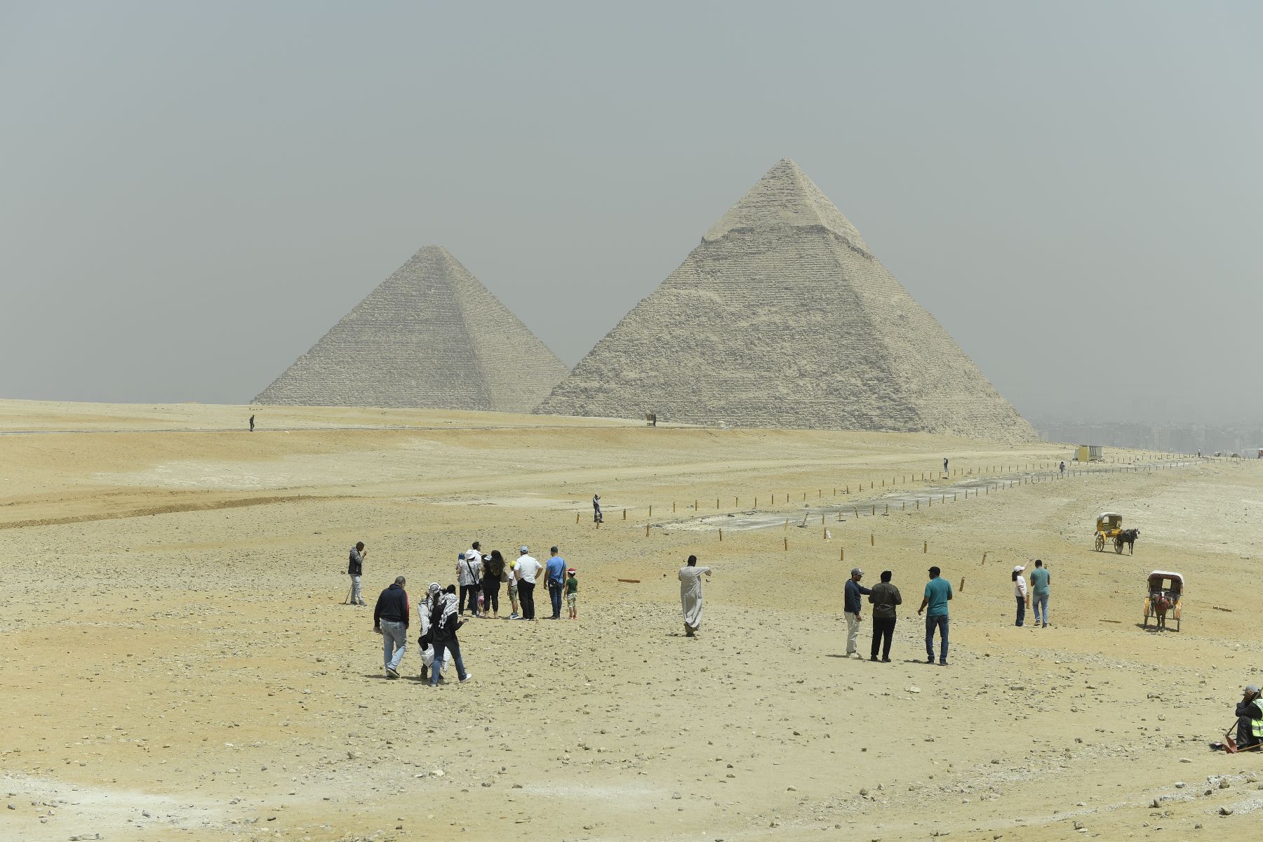 DSC4594 - ©copyright Marco Giardini