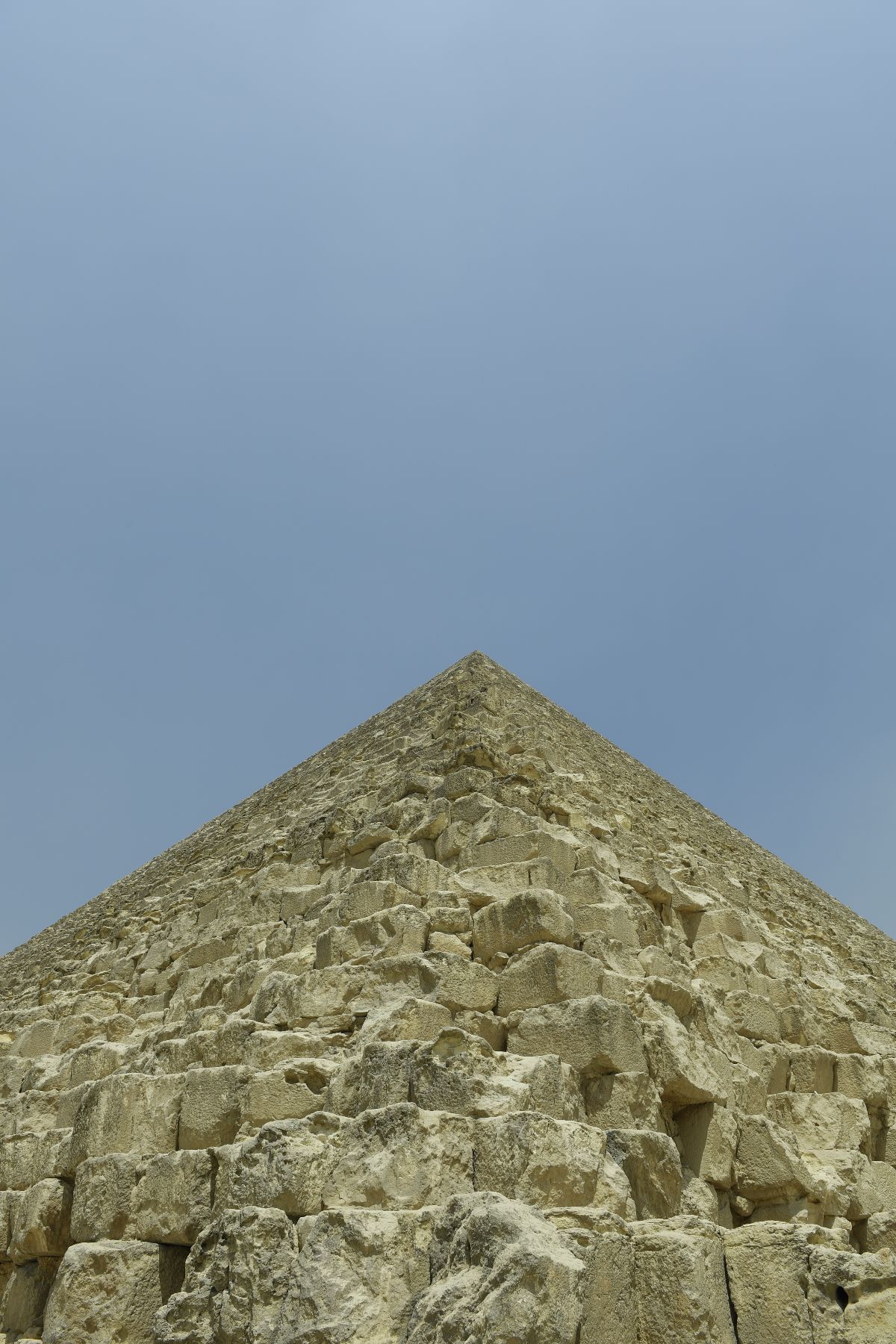 DSC4602 - ©copyright Marco Giardini