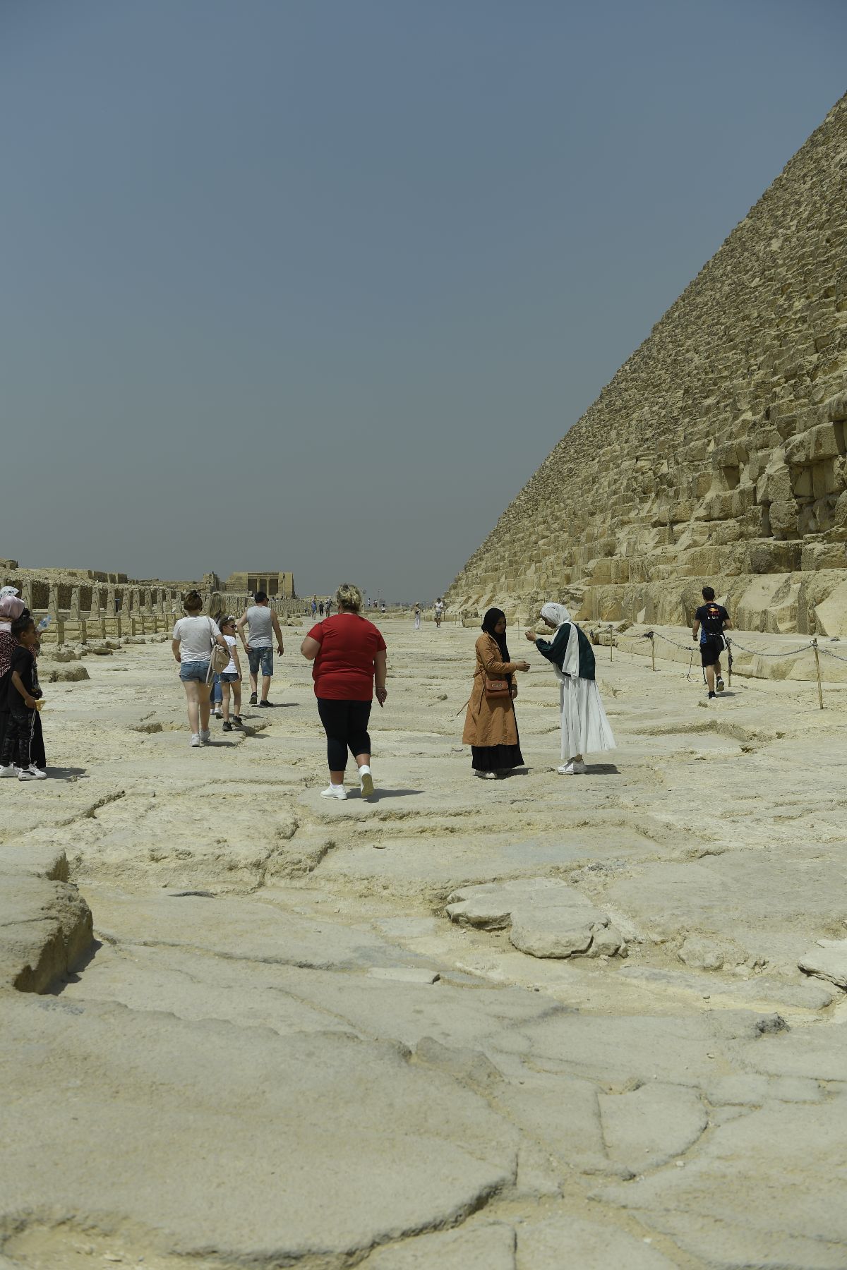 DSC4618 - ©copyright Marco Giardini