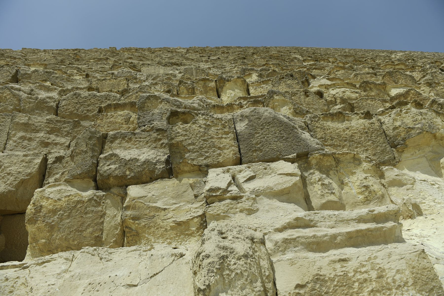 DSC4621 - ©copyright Marco Giardini