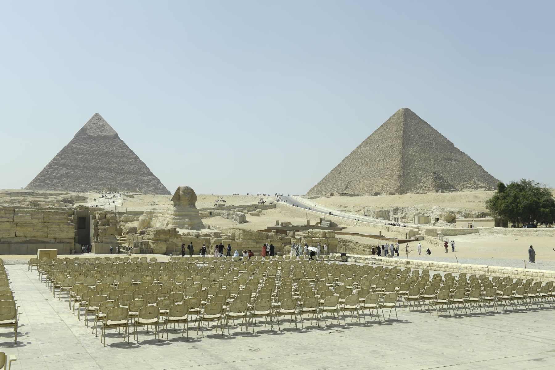 DSC4635 - ©copyright Marco Giardini