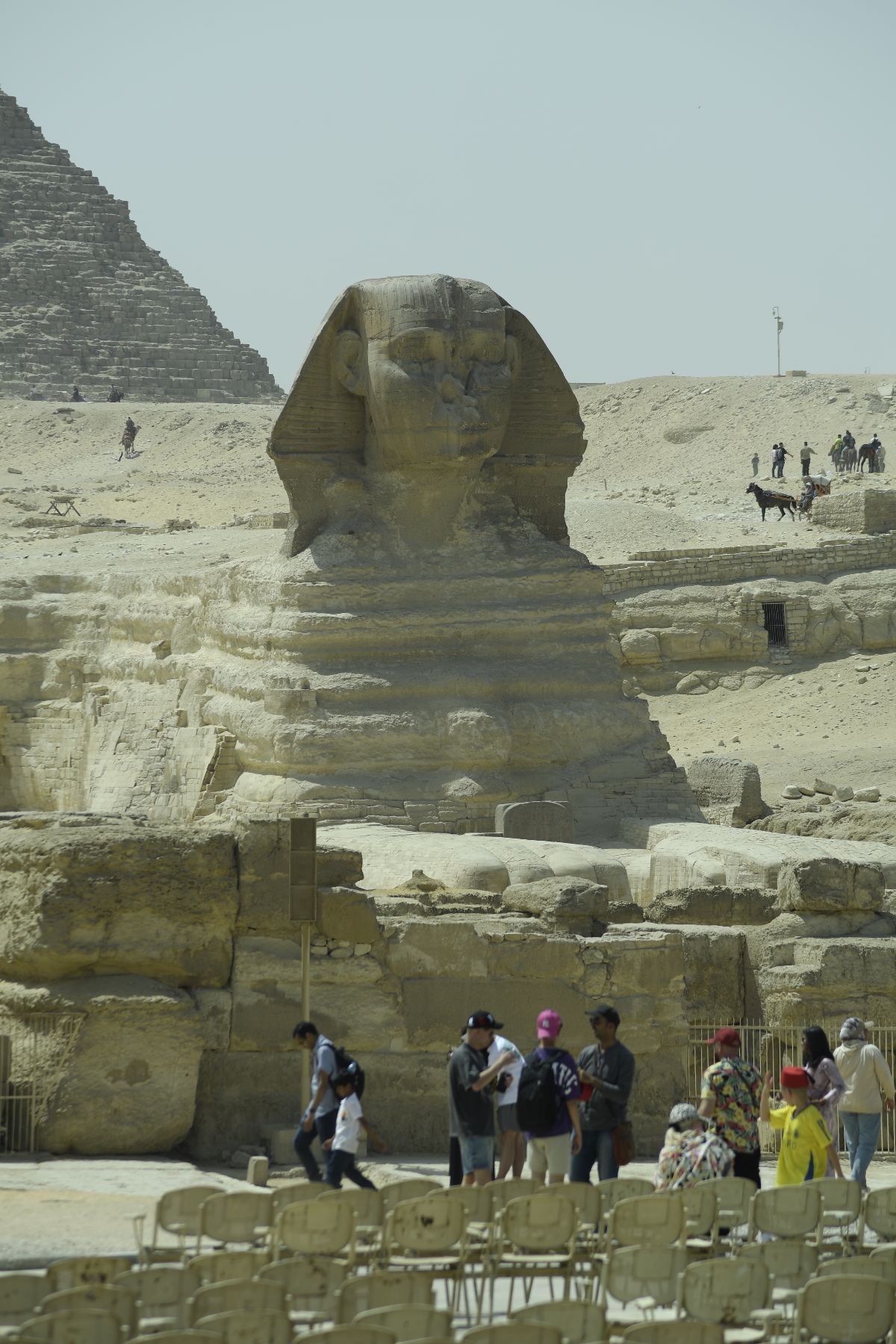 DSC4649 - ©copyright Marco Giardini