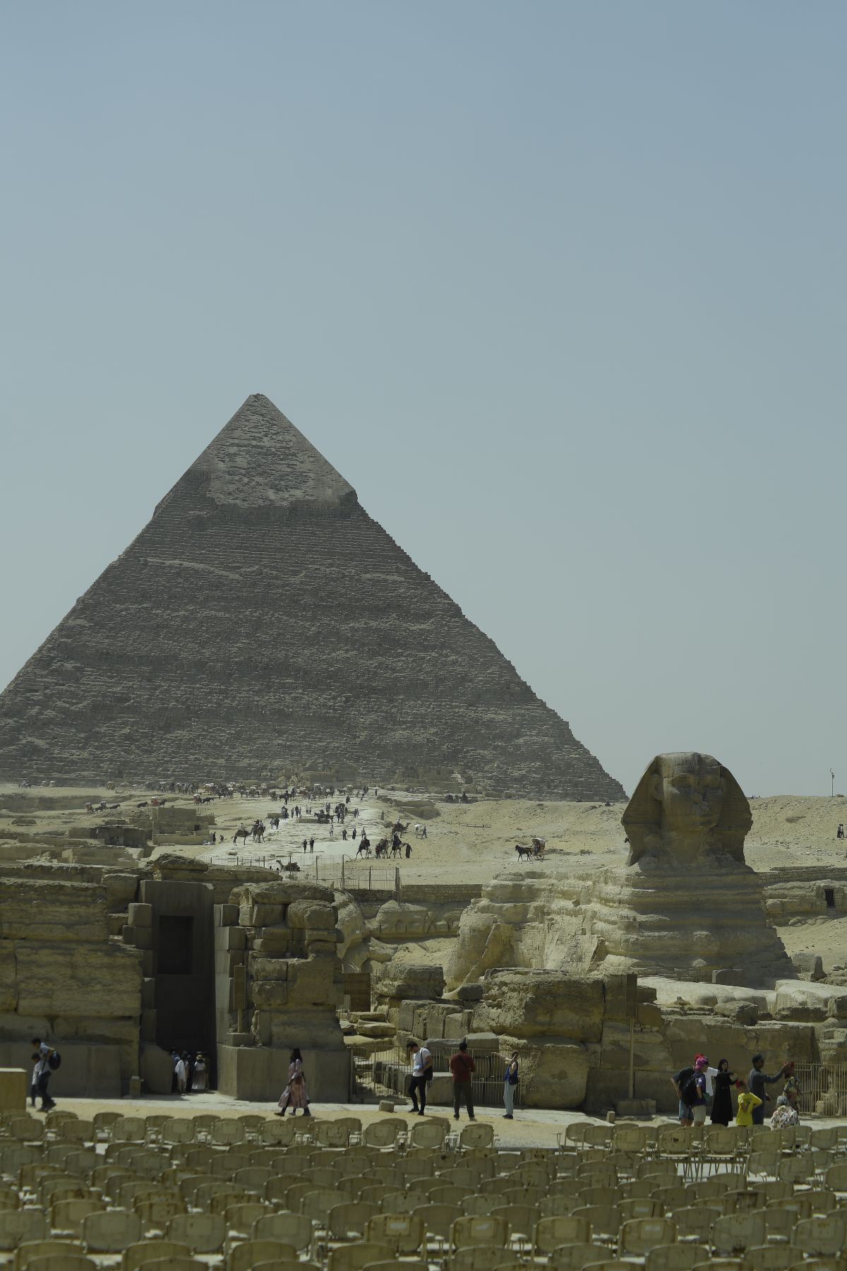 DSC4650 - ©copyright Marco Giardini