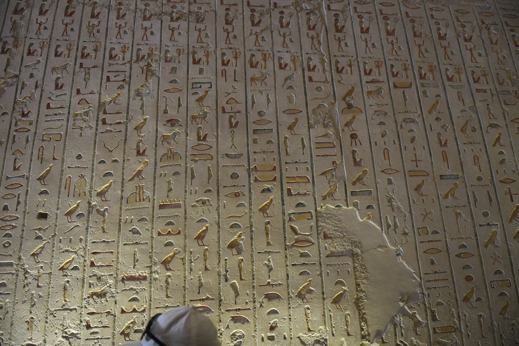 DSC4659 - ©copyright Marco Giardini