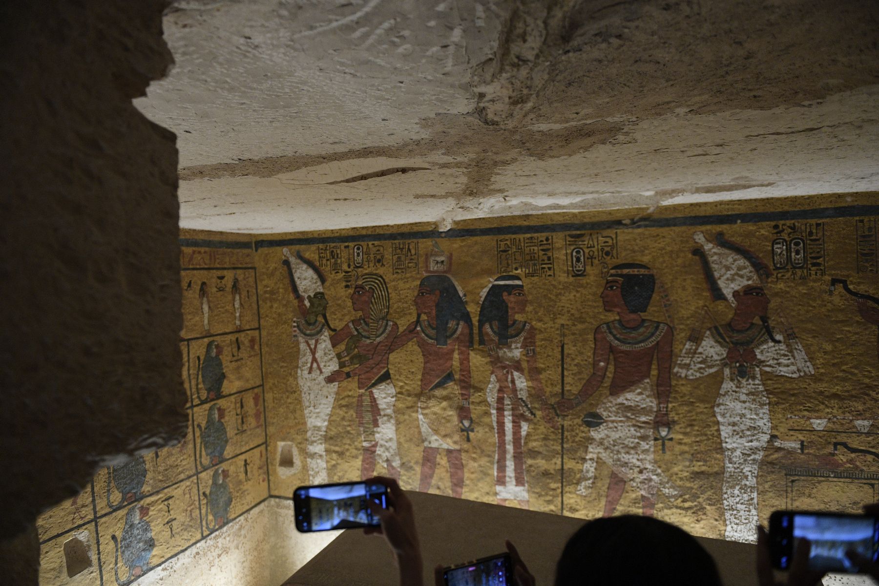 DSC4669 - ©copyright Marco Giardini