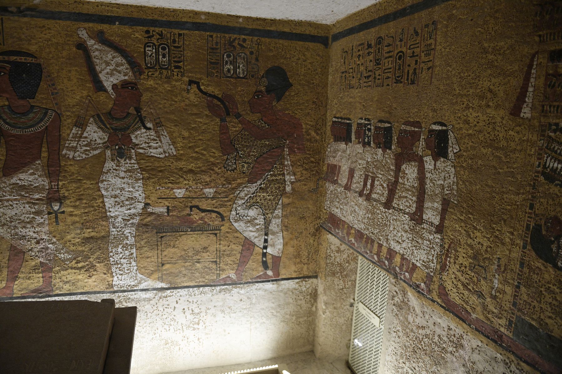 DSC4670 - ©copyright Marco Giardini