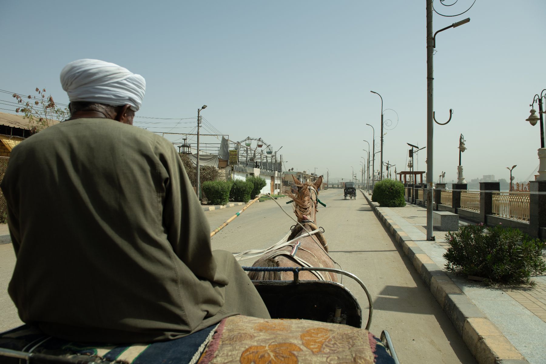 DSC4681 - ©copyright Marco Giardini