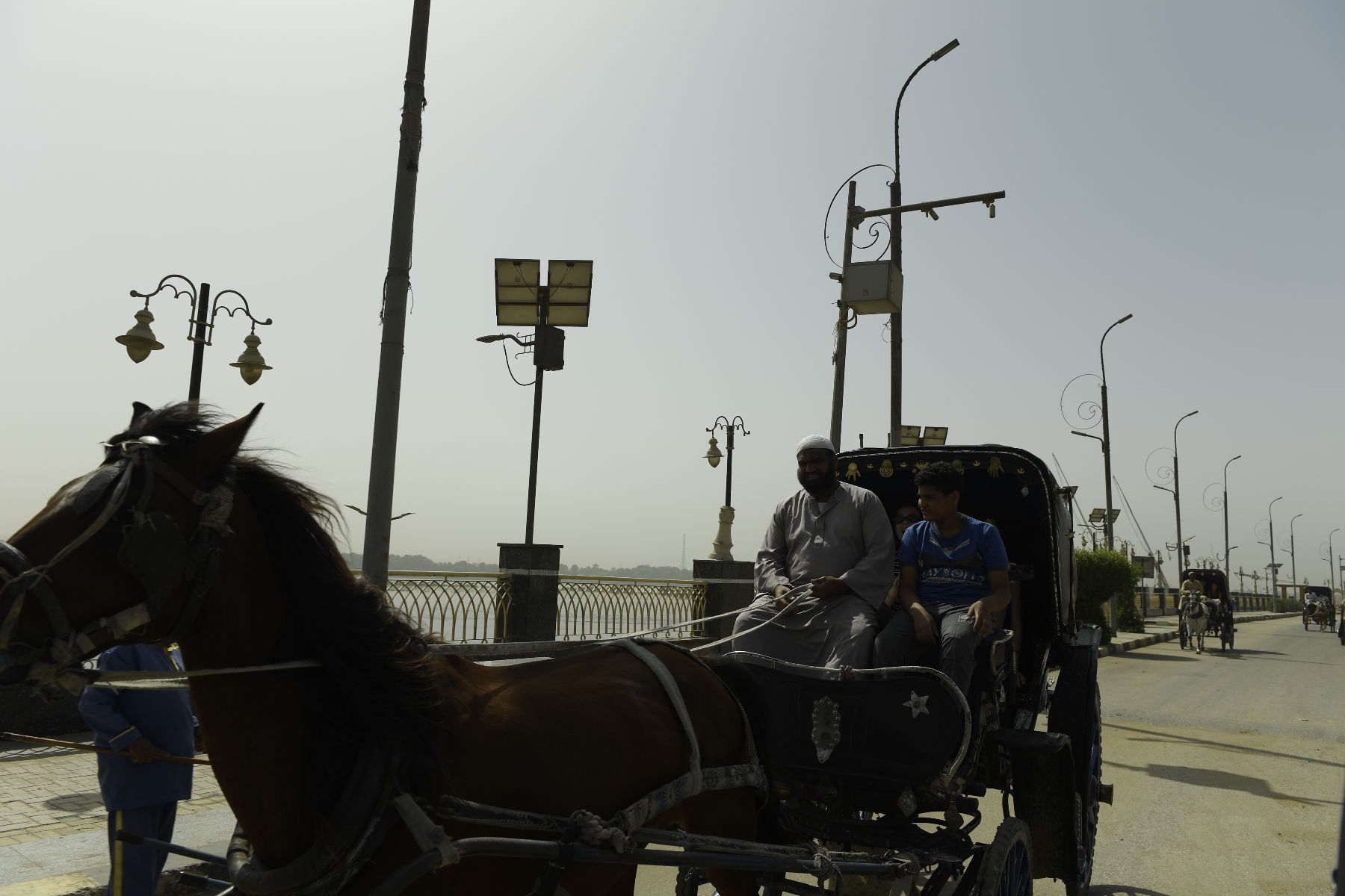 DSC4682 - ©copyright Marco Giardini