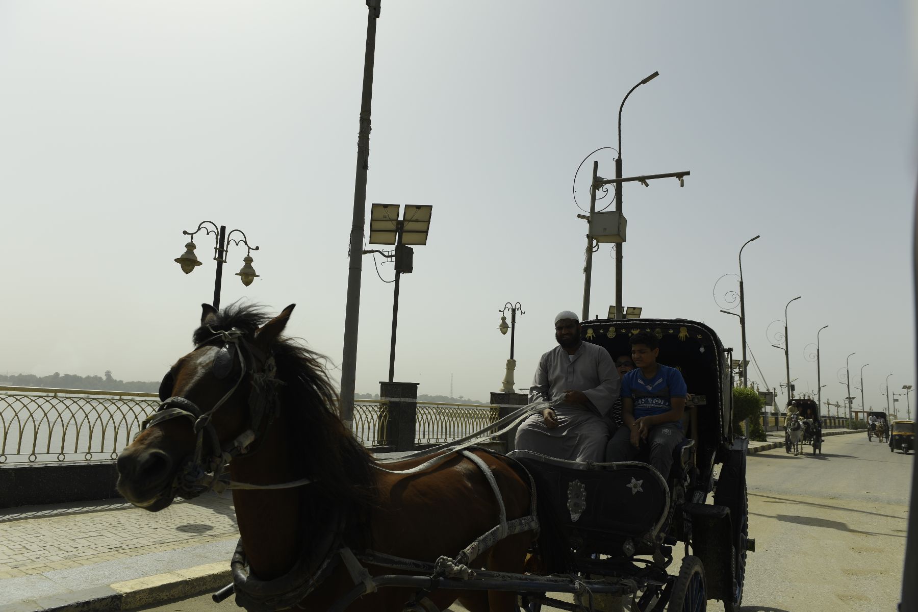 DSC4683 - ©copyright Marco Giardini