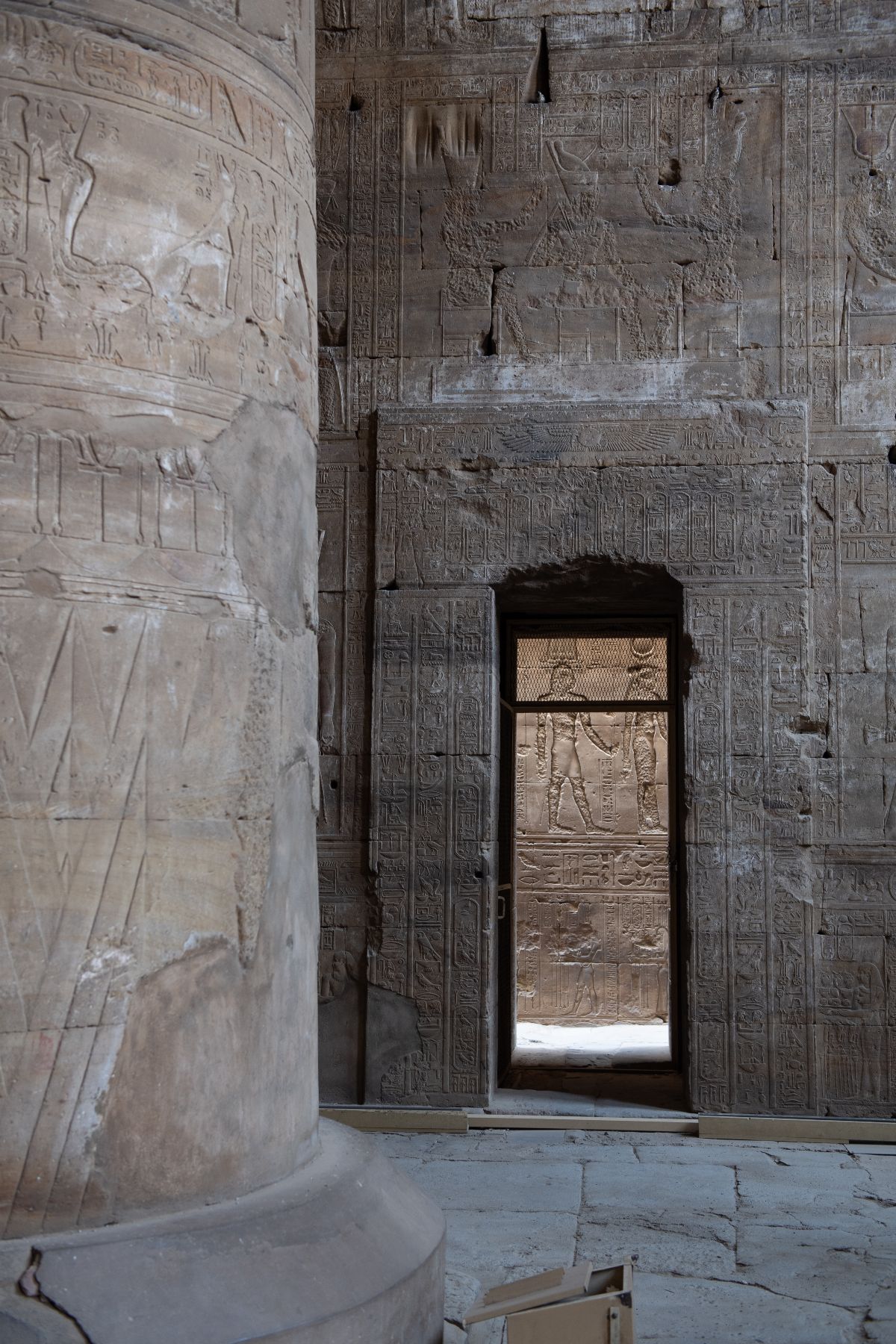 DSC4691 - ©copyright Marco Giardini