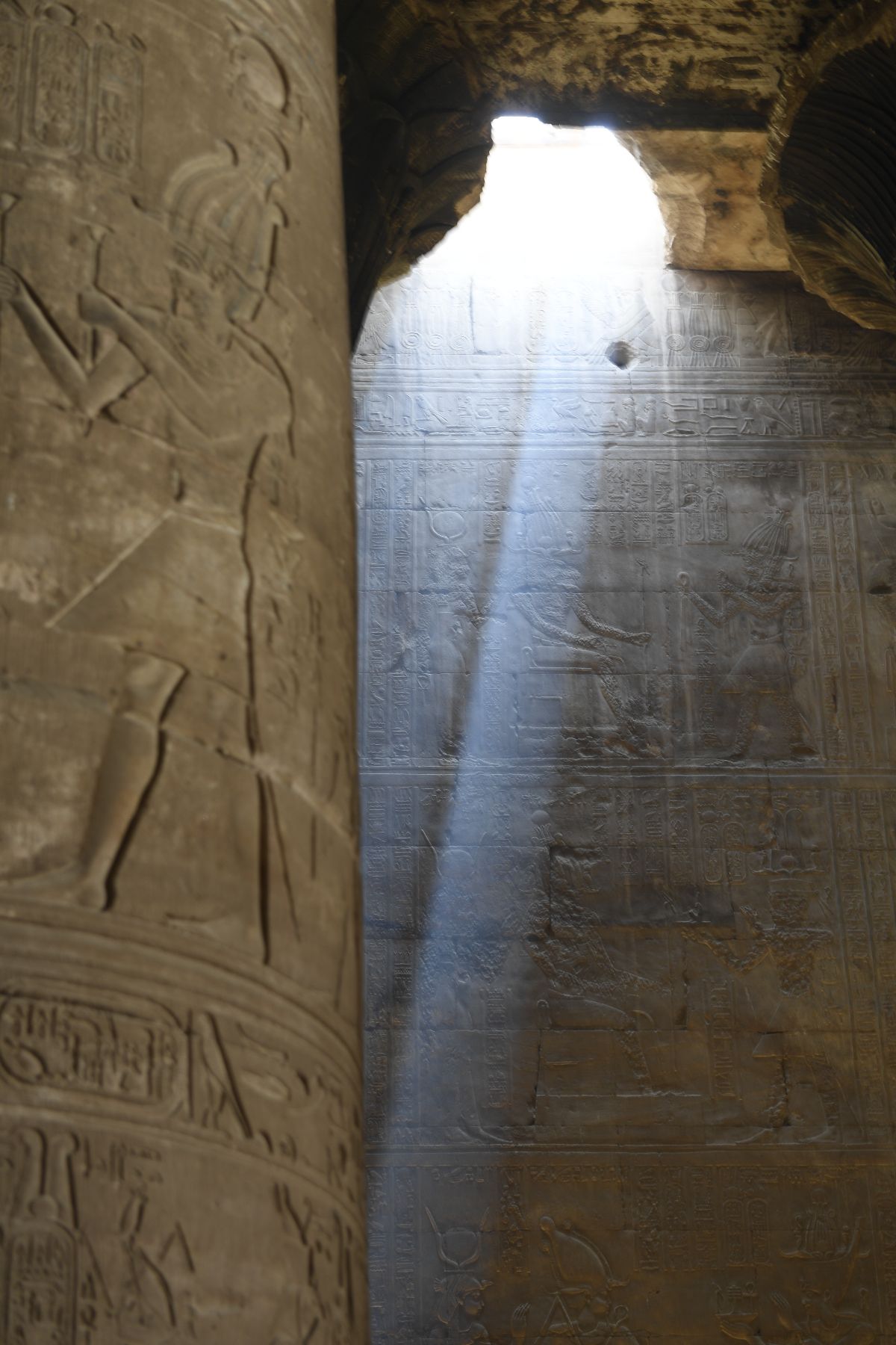 DSC4696 - ©copyright Marco Giardini