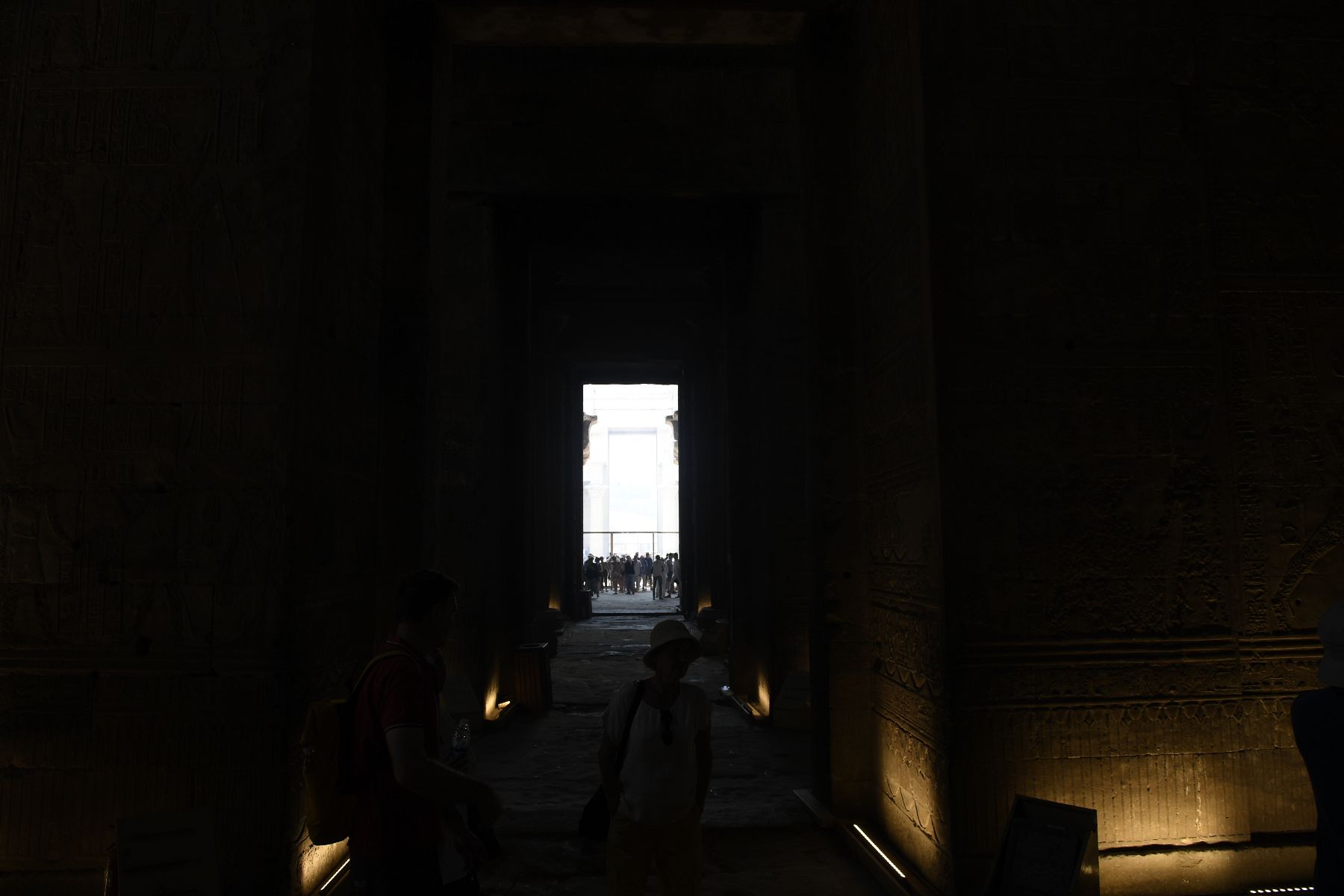 DSC4699 - ©copyright Marco Giardini