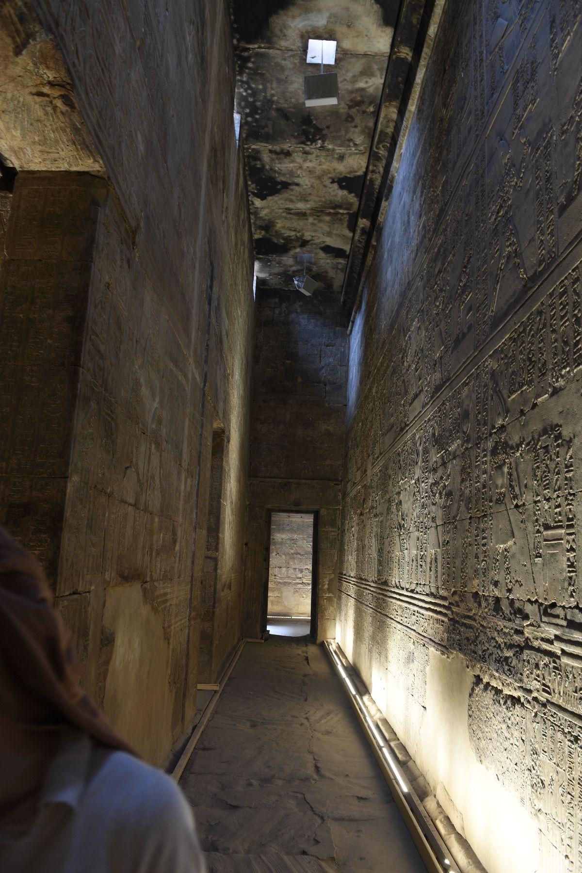 DSC4701 - ©copyright Marco Giardini