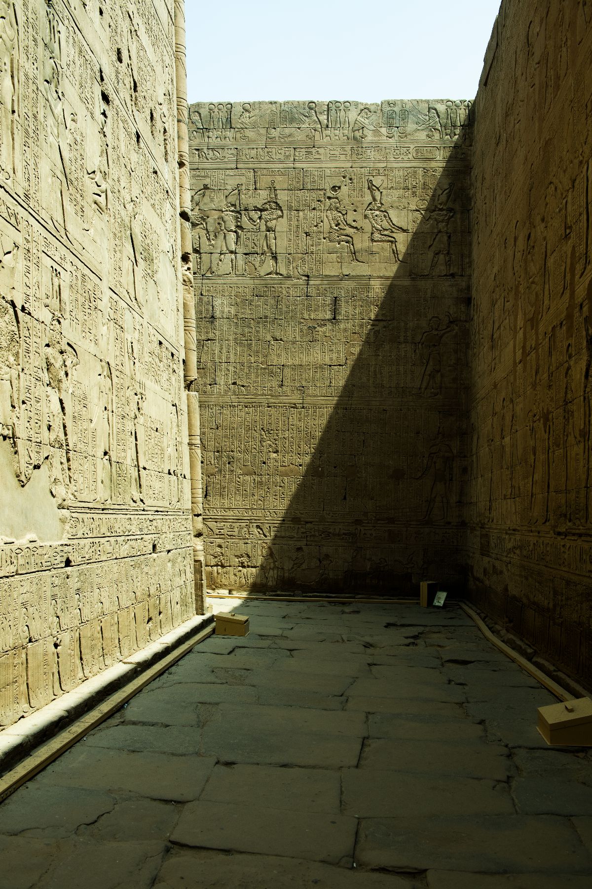 DSC4704 - ©copyright Marco Giardini