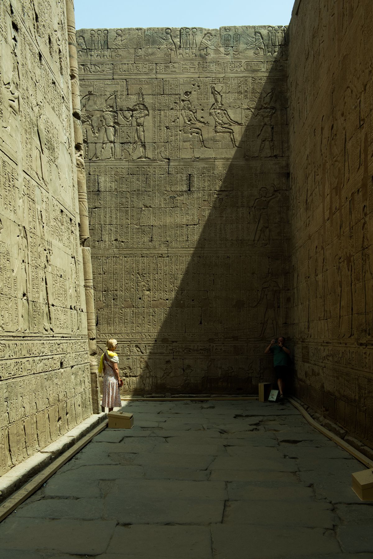 DSC4705 - ©copyright Marco Giardini