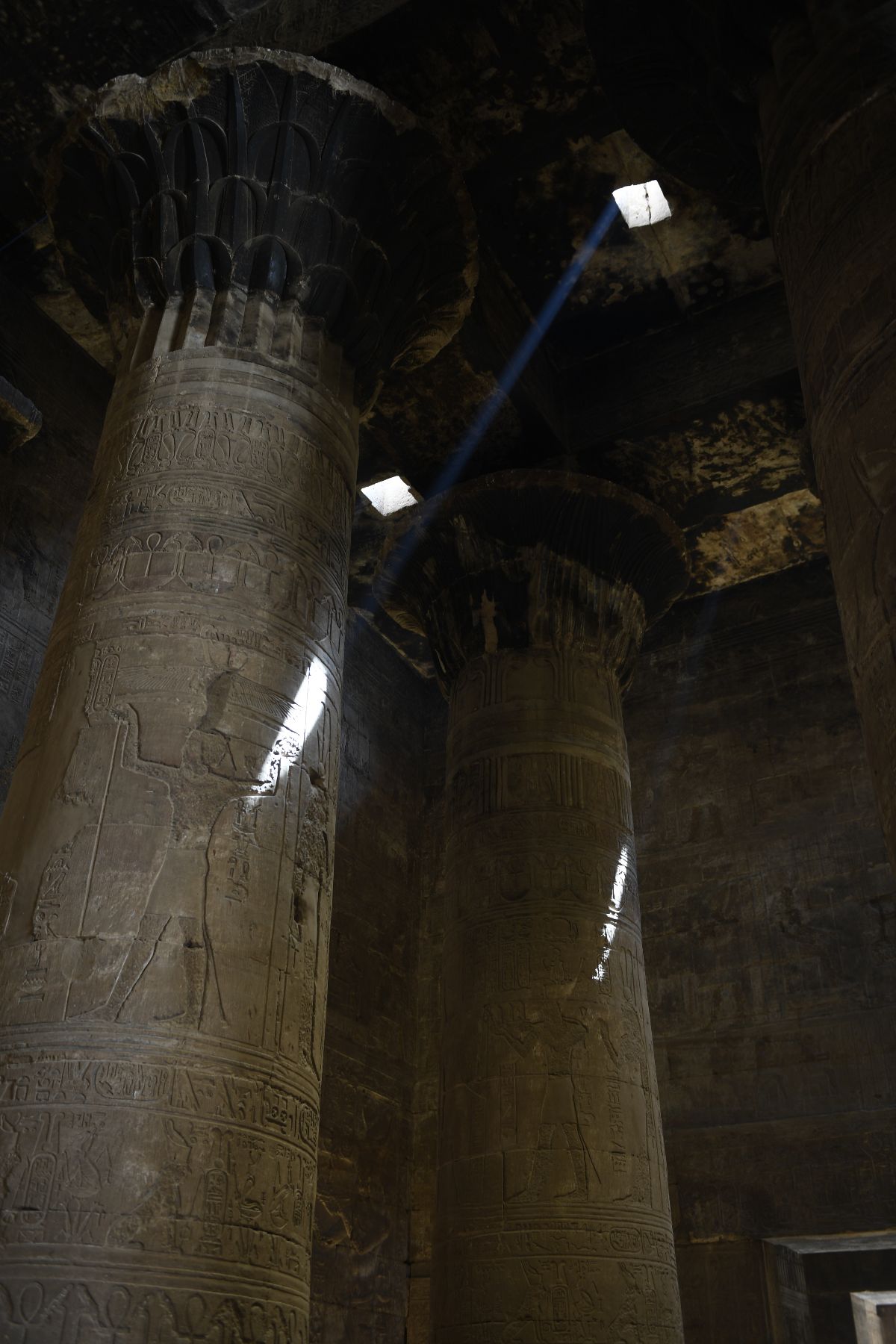 DSC4713 - ©copyright Marco Giardini