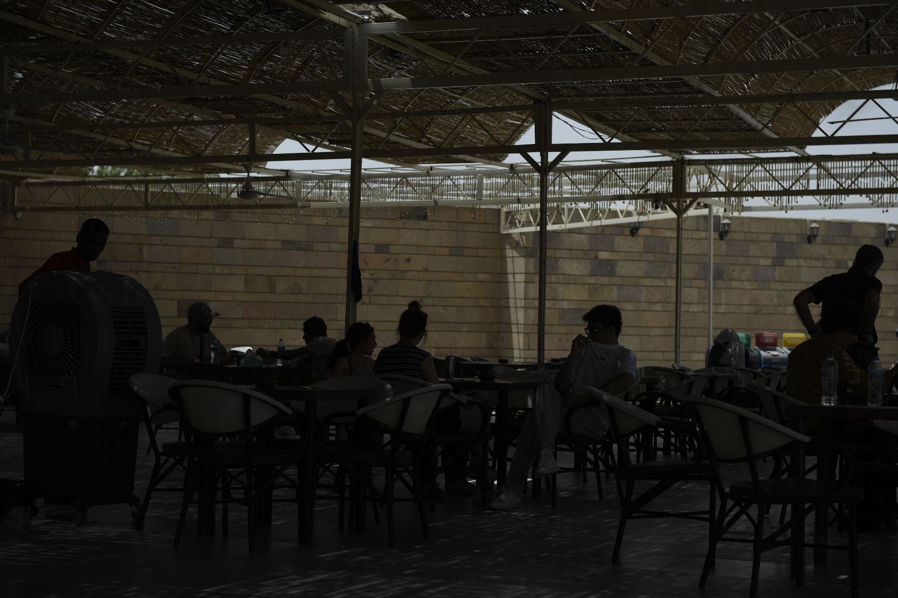 DSC4719 - ©copyright Marco Giardini