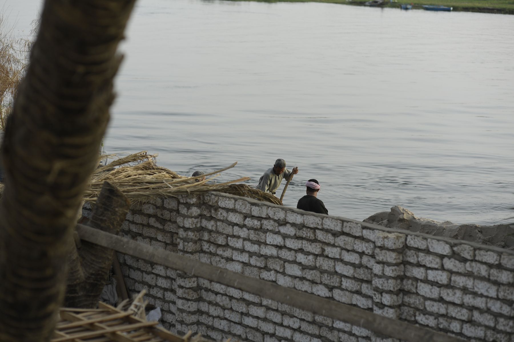 DSC4762 - ©copyright Marco Giardini