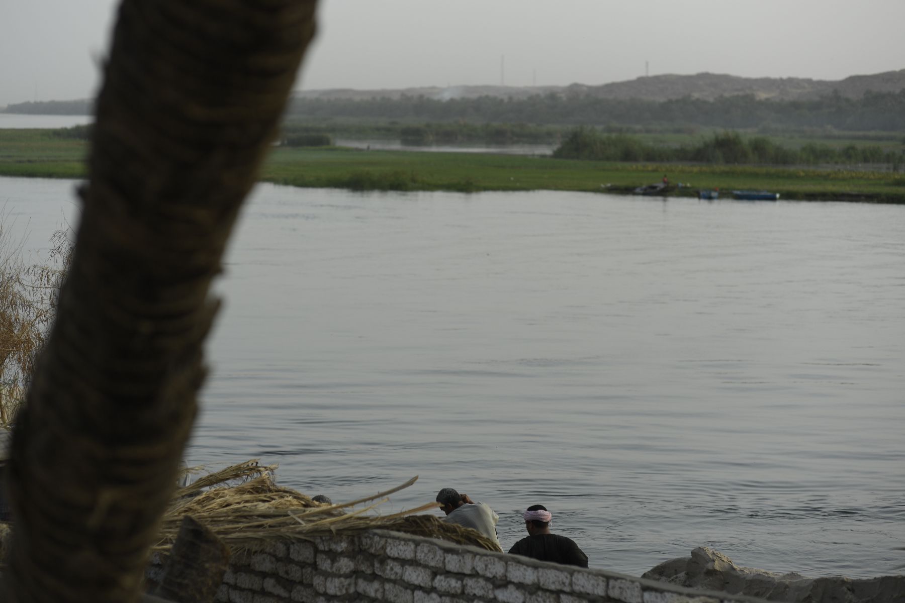 DSC4763 - ©copyright Marco Giardini