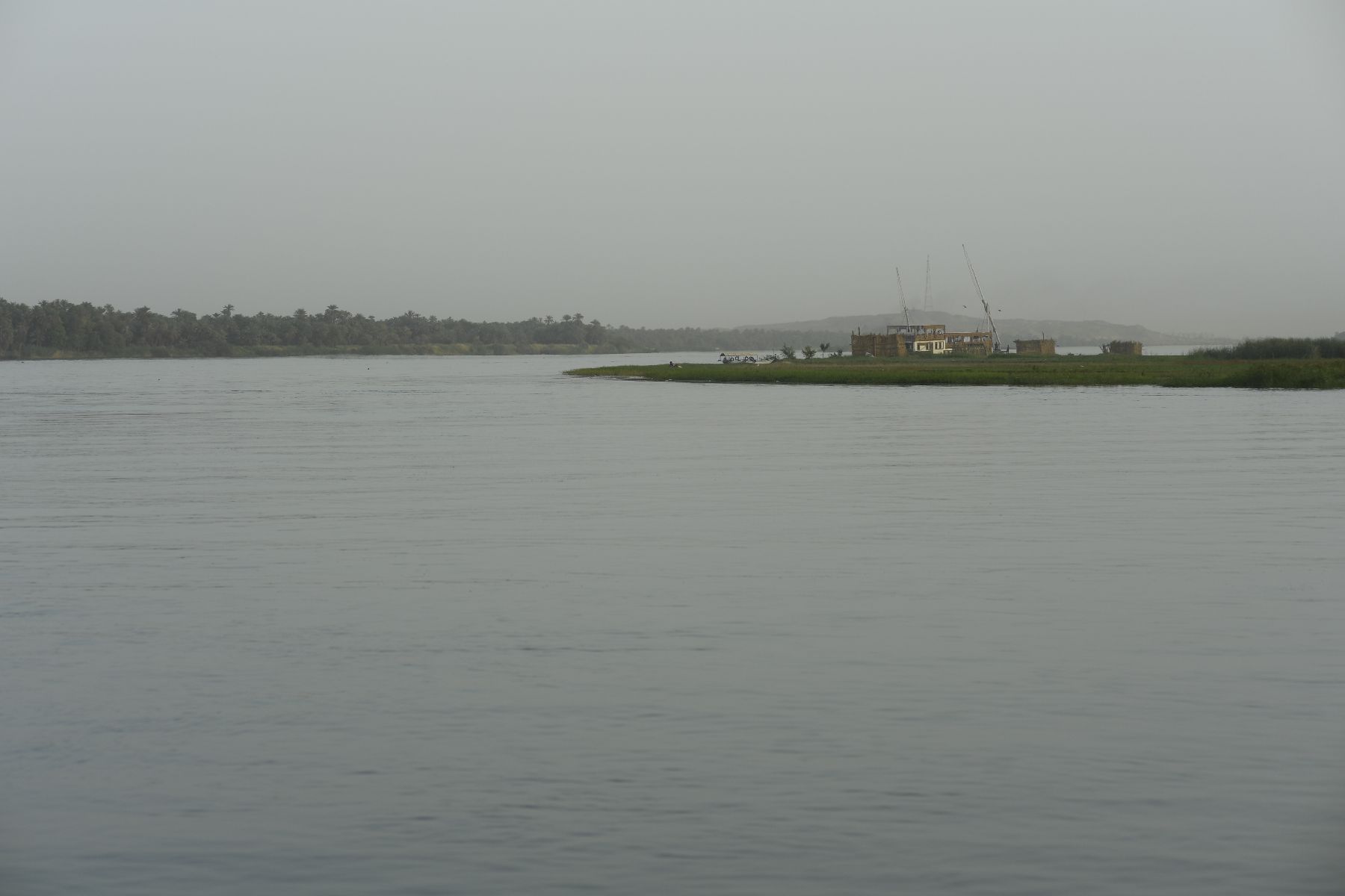 DSC4771 - ©copyright Marco Giardini