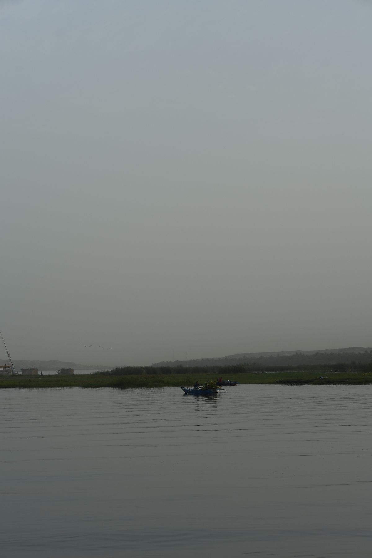 DSC4773 - ©copyright Marco Giardini