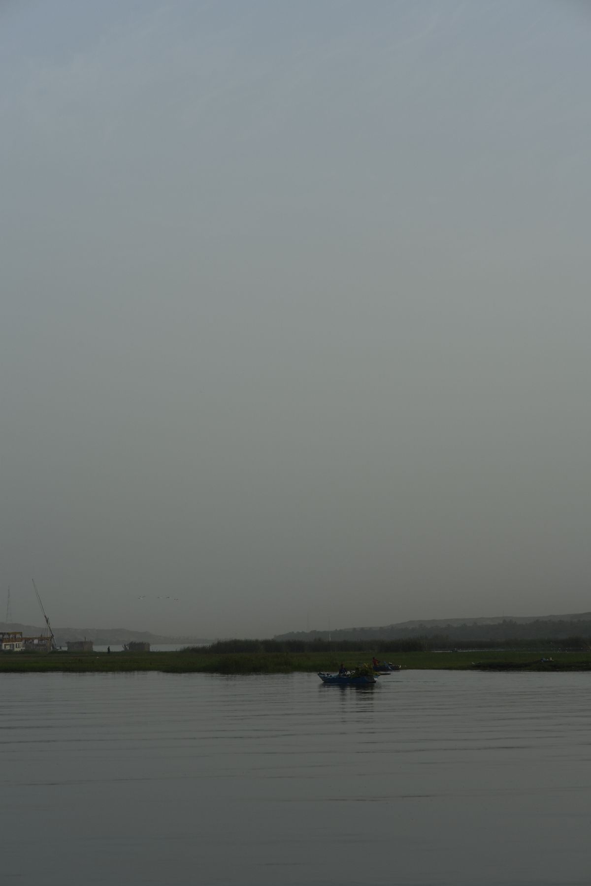 DSC4774 - ©copyright Marco Giardini