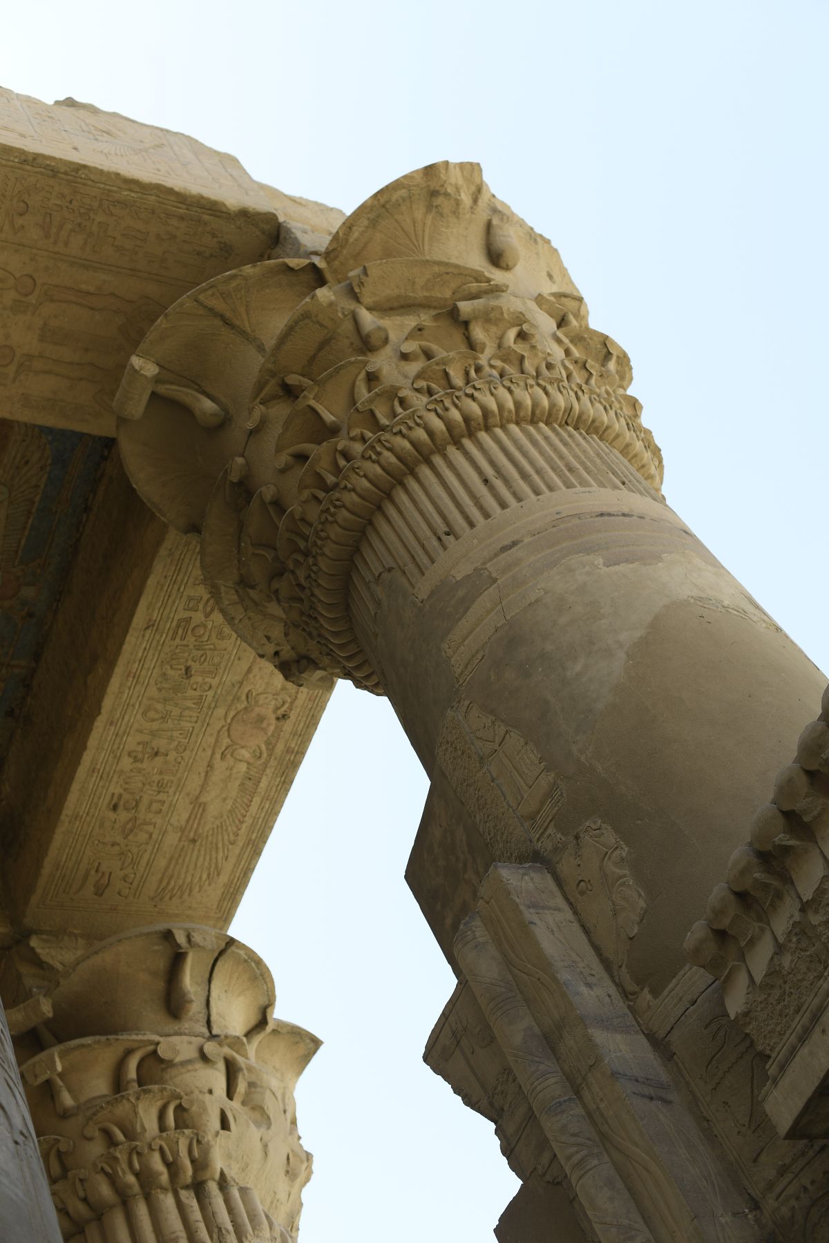 DSC4808 - ©copyright Marco Giardini