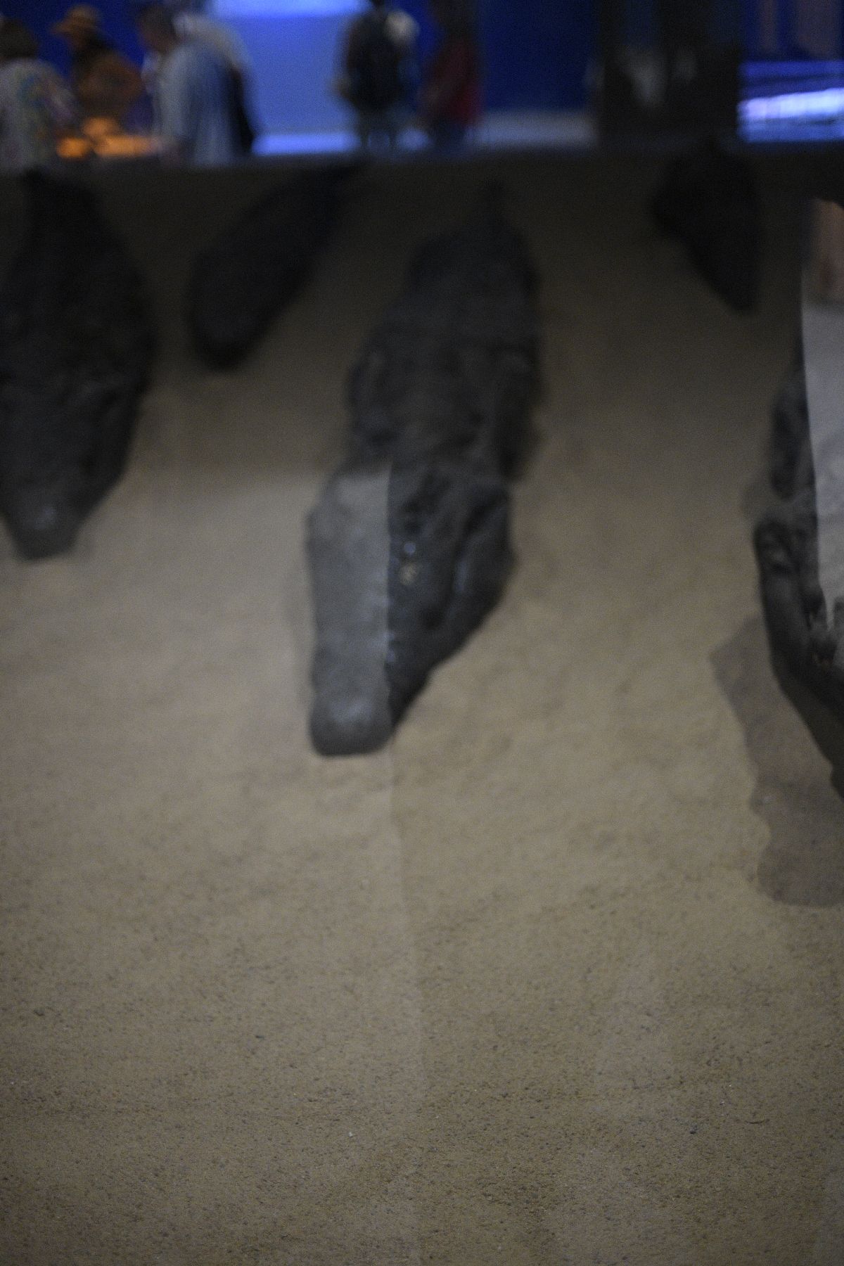 DSC4818 - ©copyright Marco Giardini