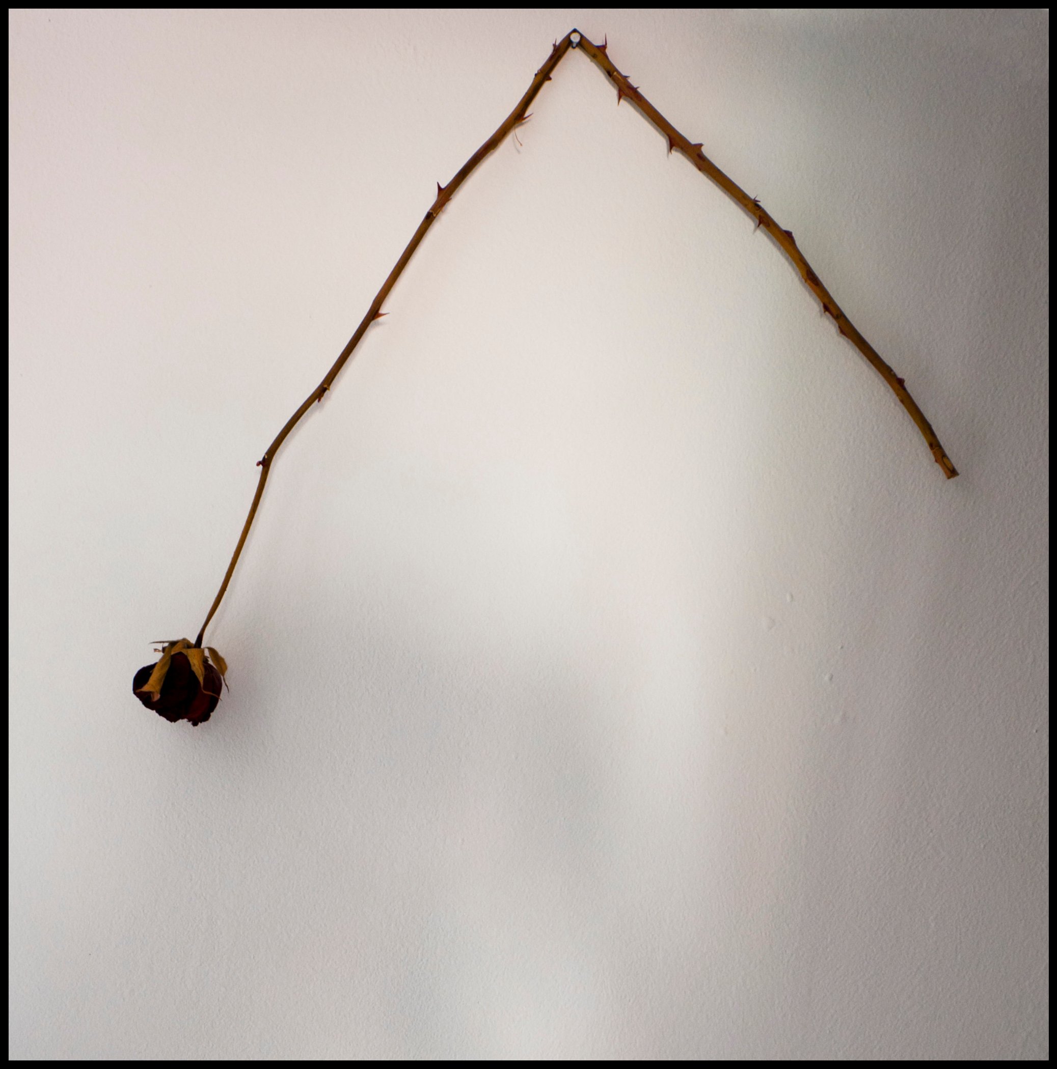 D3N9532 as Smart Object 1 - ©copyright Marco Giardini