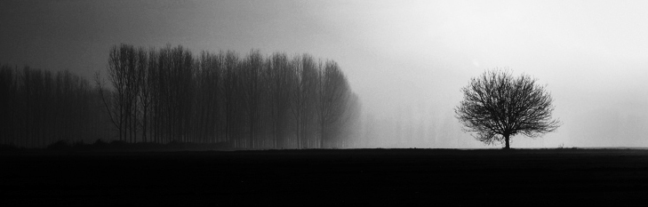 Nk1078916563 1bw - ©copyright Marco Giardini