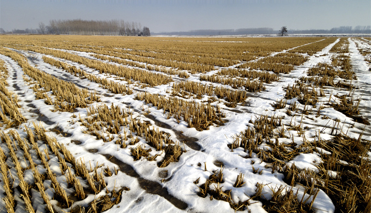 Nk50 - ©copyright Marco Giardini