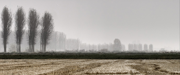 ©copyright Marco Giardini