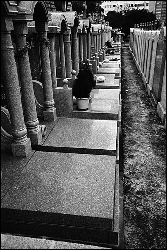 2 cimiterohk51 - ©copyright Marco Giardini