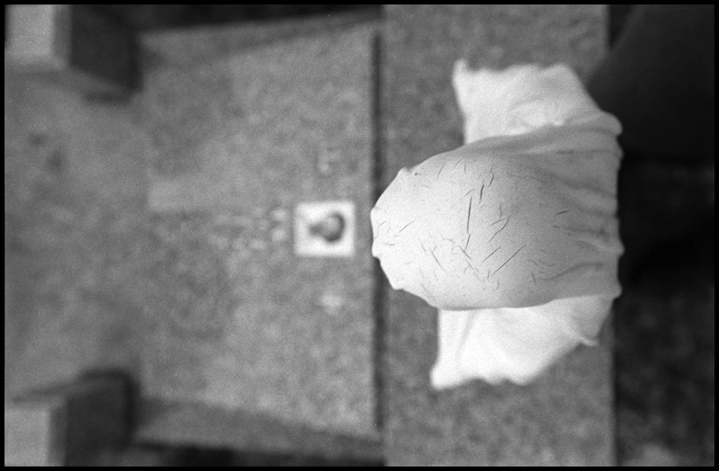 ©copyright Marco Giardini