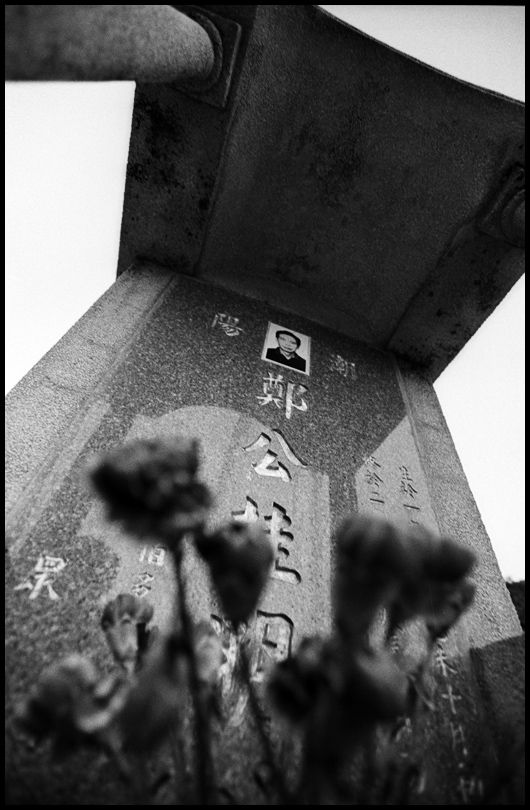 ©copyright Marco Giardini