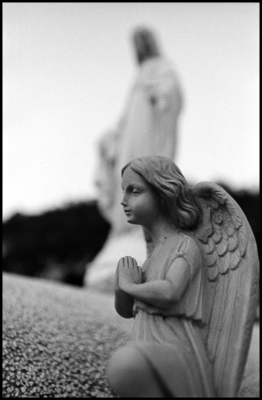 ©copyright Marco Giardini