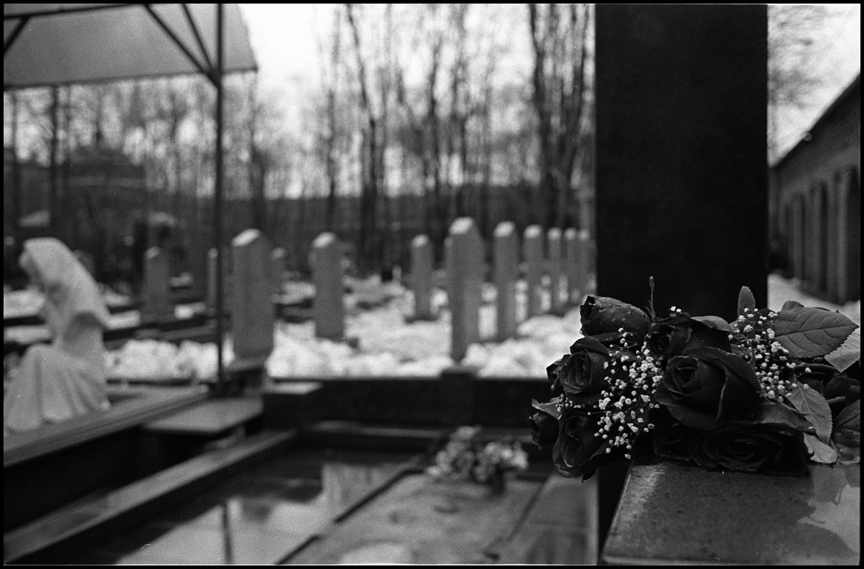 ©copyright Marco Giardini