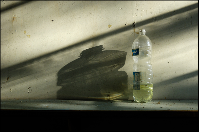 Nk1026662905 - ©copyright Marco Giardini