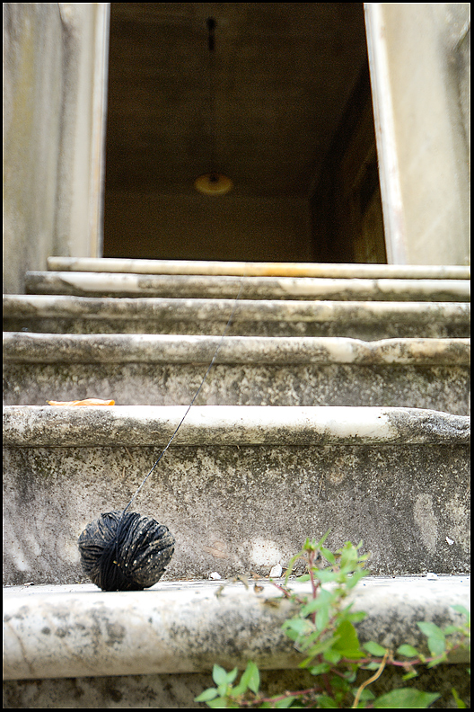 ©copyright Marco Giardini