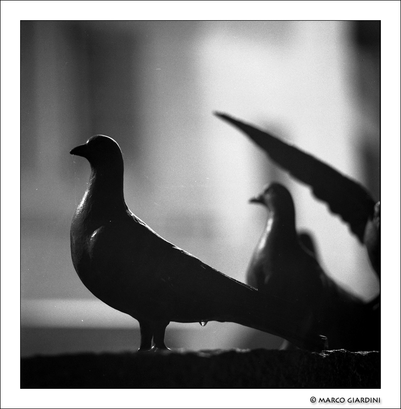 Piazza 14 - ©copyright Marco Giardini